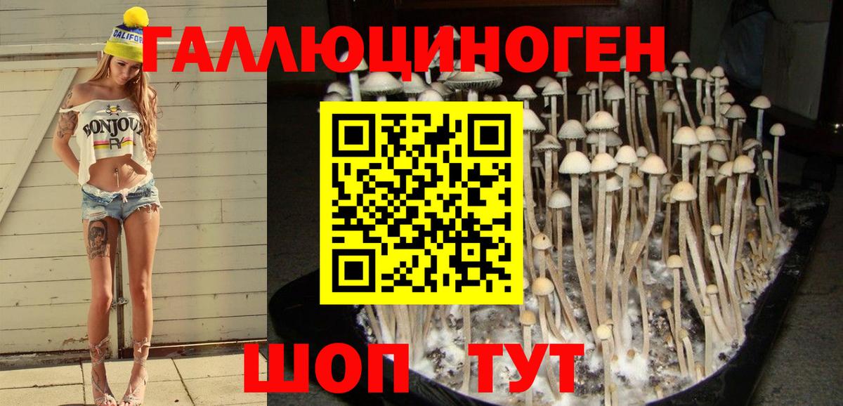 Псилоцибиновые грибы MAGIC MUSHROOMS Ачинск